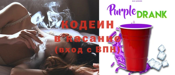 стаф Елабуга