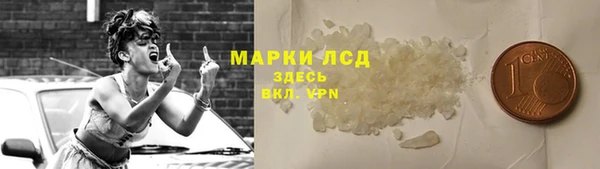стаф Елабуга