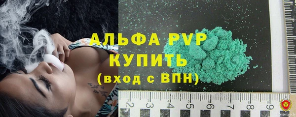стаф Елабуга