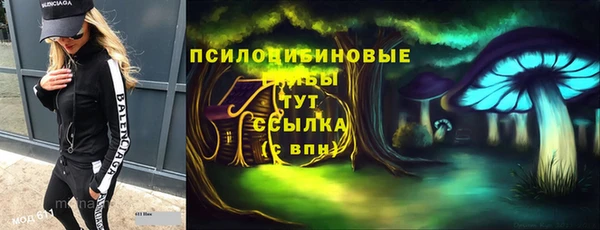 стаф Елабуга