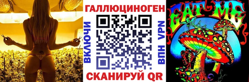 Галлюциногенные грибы мицелий  Купить  Отрадное 